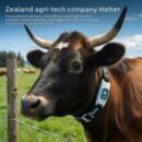 Halter привлекает инвестиции свыше $2 млрд для развития агротехнологий Halter привлекает инвестиции свыше $2 млрд для развития агротехнологий